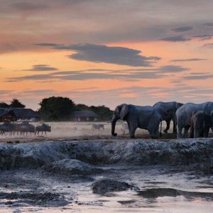 Nxai Pan Camp, Aussicht vom Nxai Pan Camp