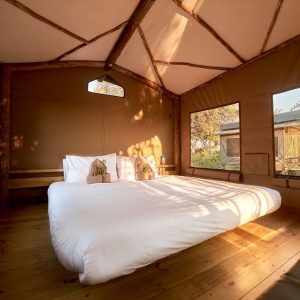 Oddballs Camp_, Zelte von innen