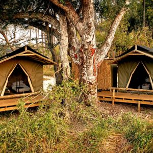 Oddballs Camp, einfache Unterkünfte