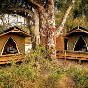 Oddballs Camp, einfache Unterkünfte