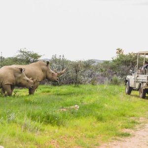 Okapuka Safari Lodge_1