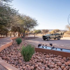 Okonjima Plains Camp, Eingang