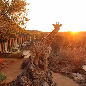 Okutala Lodge