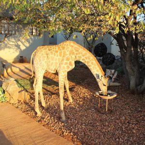 Okutala Lodge
