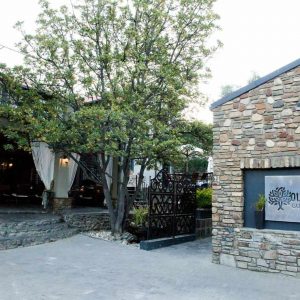 Olive Grove Guesthouse