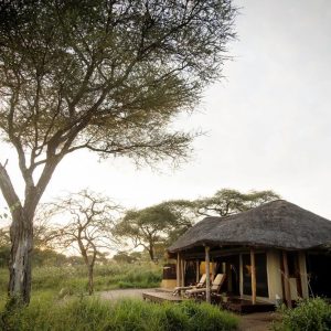 Oliver's Camp, Zimmeransicht