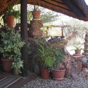 Otjitotongwe Farm Cheetah