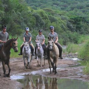 Pakamisa Private Game Reserve Reitausflug