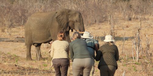 „Direct approach“