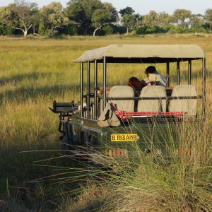 tolle Gräser und Licht bei Nachmittagspirschfahrt