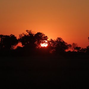 Sonnenuntergang Pom Pom