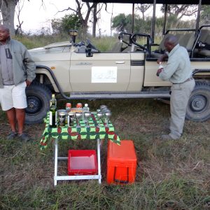 Sundowner bei Pom Pom