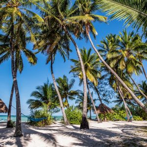 Pongwe{ Strand mit Palmen