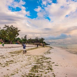 Pongwe Strand