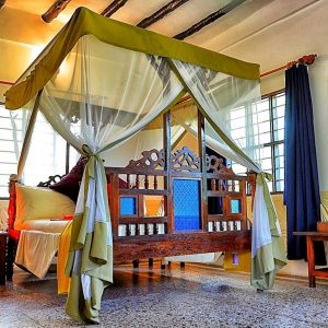 Zimmerbeispiel Pongwe