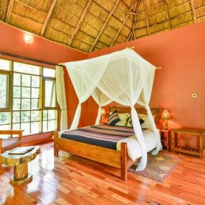 Primate Lodge