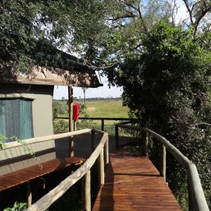 Radinare Camp, Steg zur Unterkunft