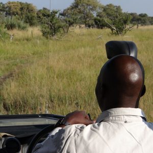 Max Guide, Radinare Camp