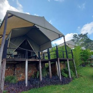 Romelda Retreat