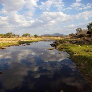 Ruaha River Lodge