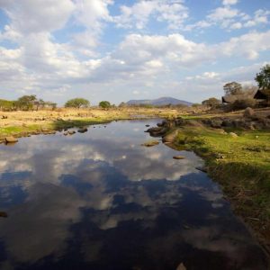 Ruaha River Lodge