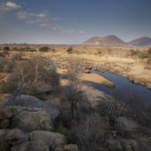Ruaha River Lodge
