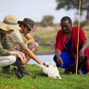 Ruaha River Lodge