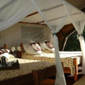 Rufiji Riverside tent interior