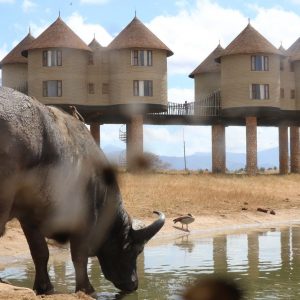Sarova Salt Lick Lodge Blick vom Bunker
