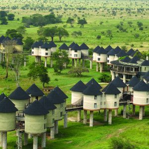 Sarova Salt Lick Lodge