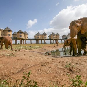 Taita Hills & Tsavo Safari