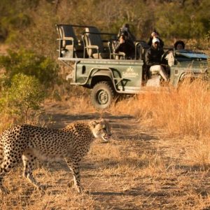 Savanna Private Game Reserve