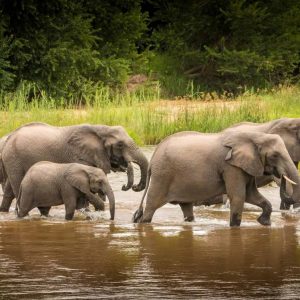 Savanna Private Game Reserve_