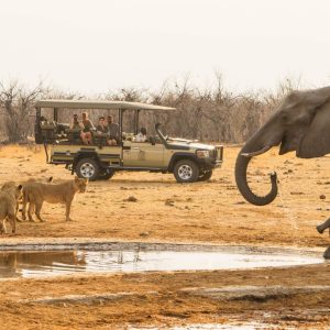 Savute Safari Lodge