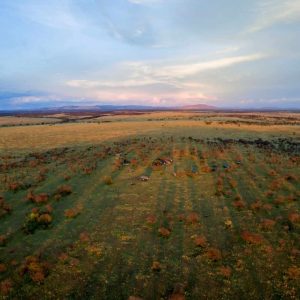 Serengeti View Camps