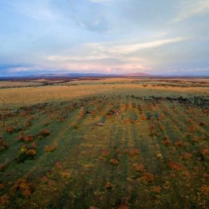 Serengeti View Camps