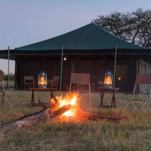 Serengeti View Camps