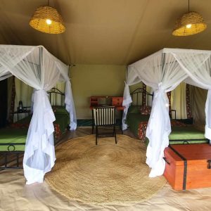 Serengeti View Camps