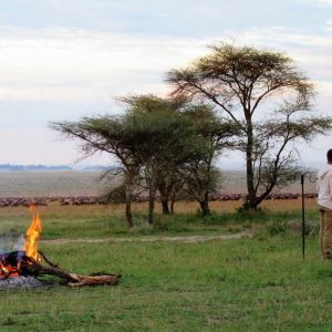 Serengeti View Camps