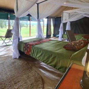 Serengeti View Camps