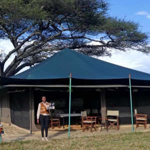 Serengeti View Camps