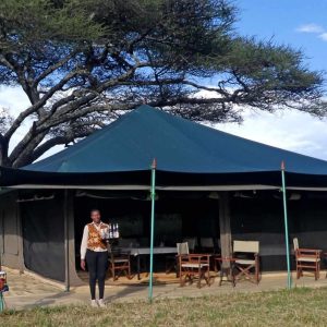 Serengeti View Camps