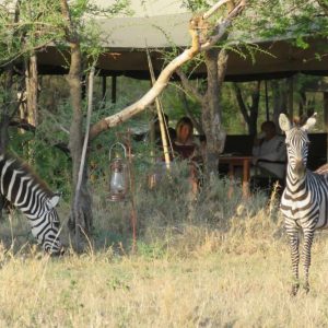Serengeti Wilderness Camp