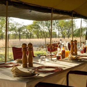 Serengeti Wilderness Camp