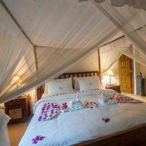 Serenity on the Lake