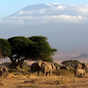 Tsavo Nationalpark, das schöne Severin Safari Camp