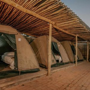 Shearwater Village Zelte