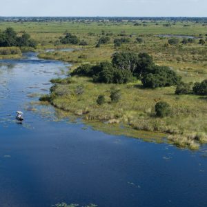 Shinde Wildlife Ker & Downey