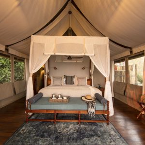 Shinde Wildlife Ker & Downey_132