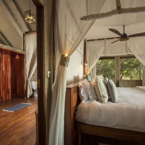 Shinde Wildlife Ker & Downey_133